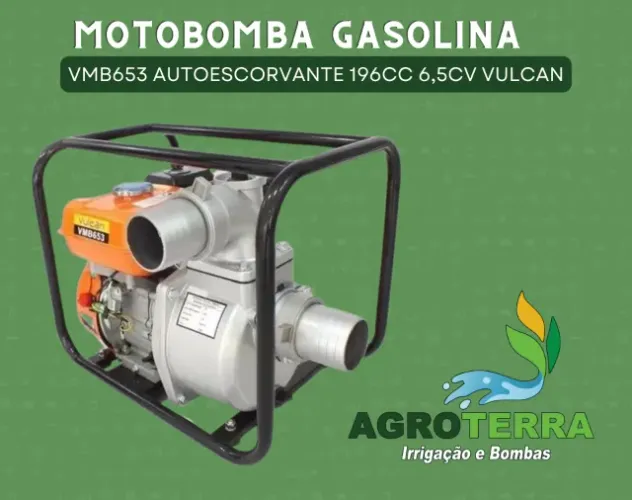 Motobomba Gasolina Autoescorvante 3 Polegadas