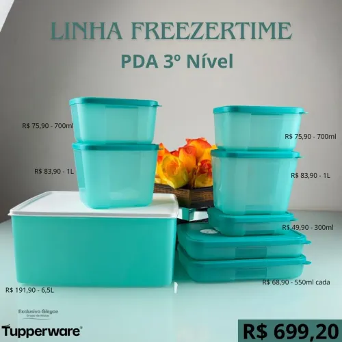 Conjunto de potes Tupperware Freezertime PDA 3º Nível - Novo
