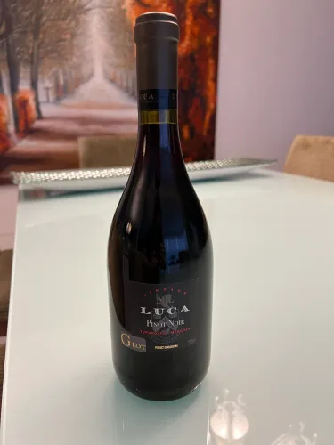 Vinho Luca Pinot Noir - 750ml - Mendonza