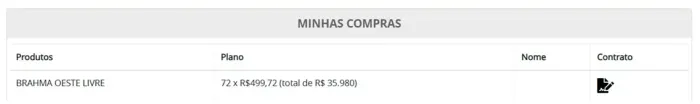 Vendo Cadeira Arena MRV - Atletico (GALO)