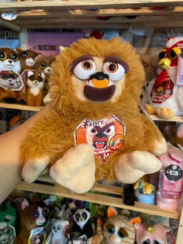 Pé Grande Feisty Pets 