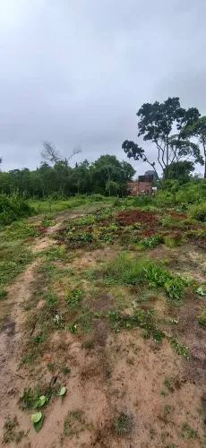 Vendo terreno no pajucara, 200 metros do asfalto pego carro ou moto no negócio