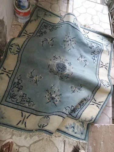 Tapete só precisa lavar 