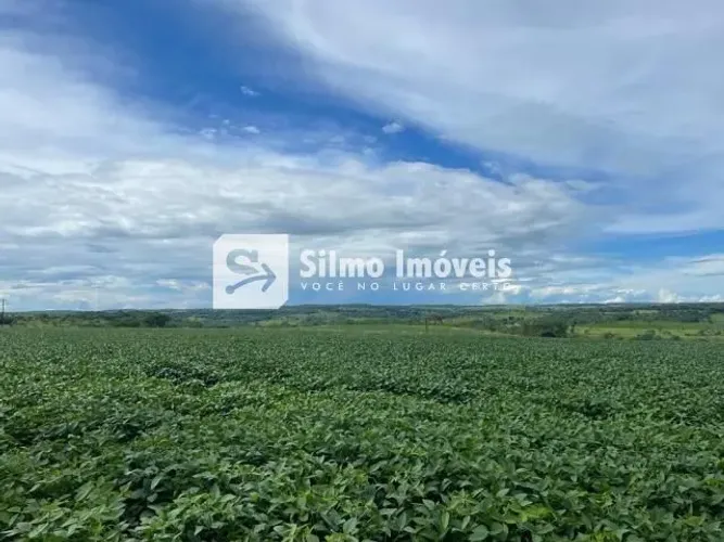 Venda Fazenda AREA RURAL DE UBERLANDIA