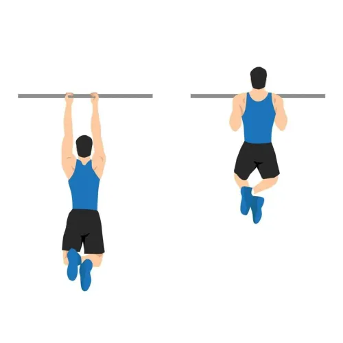 Instrutores para preparatório TAF