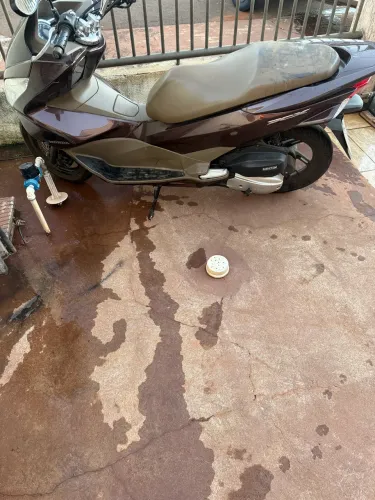 Honda pcx