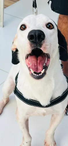 Doação