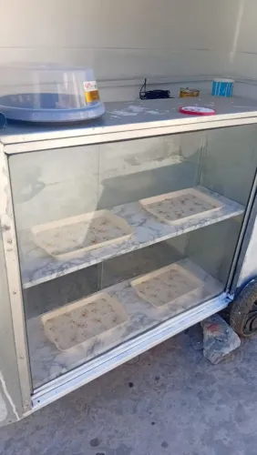 Vende-se mini trailer para lanches.