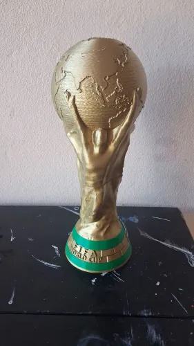Taça Da Copa tamanho oficial.