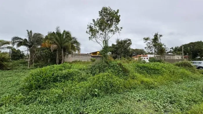 Lote/Terreno à Venda, Palmeiras - Itanhaém