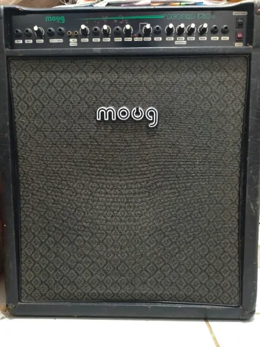 Amplificador Moog ACOORD 580s
