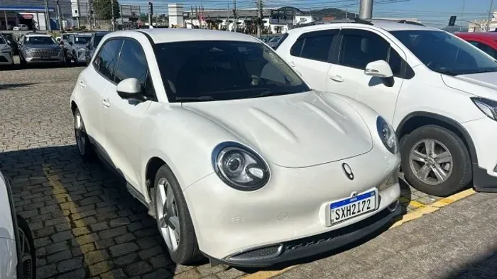GWM Ora 03 Skin (elétrico) 2024