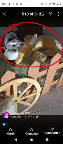 Pelúcias e acessorio para decoração de festa