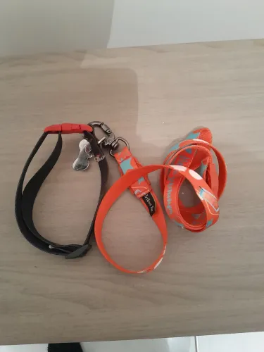 Coleira e guia para passeio de cachorro
