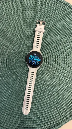 Garmin 165