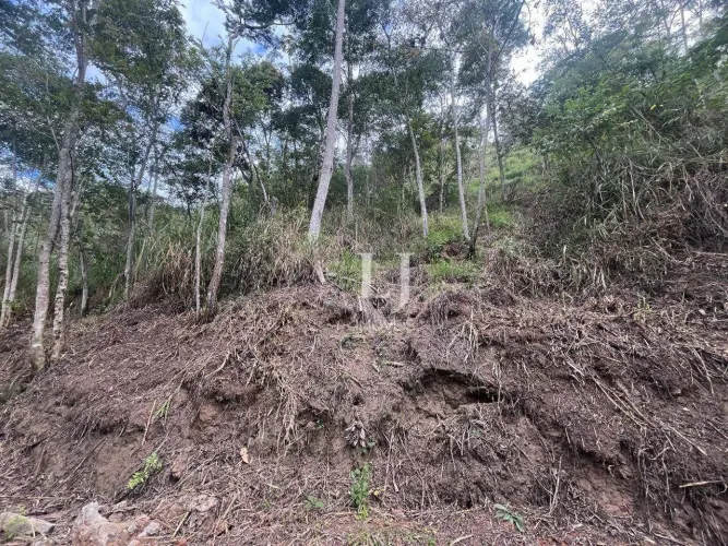 Terreno à venda em Pedro do Rio, 772 m² por R$ 120.000 - Petrópolis/RJ