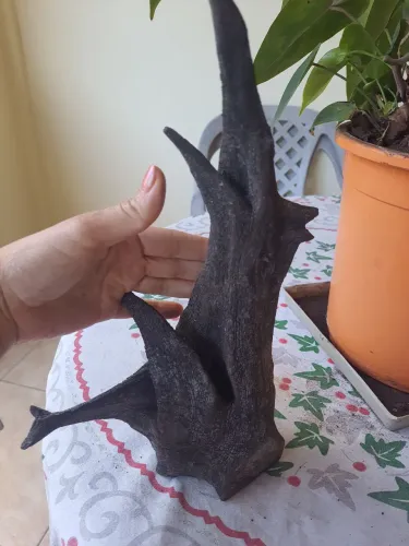 Tronco para aquário 