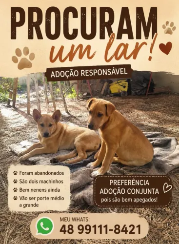 Doação se Cachorros