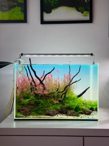 Luminária Chihiros b series 45cm