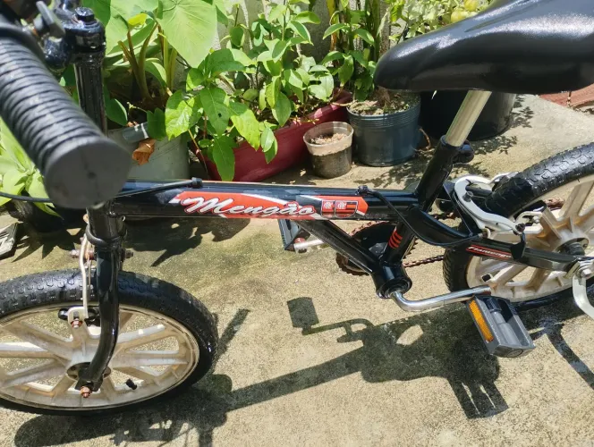 Bicicleta