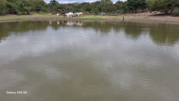 Fazenda de 650 t, com casa, curral, aguadas, energia na regiào de Conceição do Coité Bahia