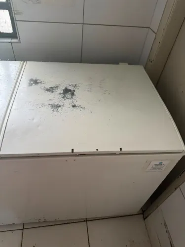 freezer horizontal 2 portas Eletrolux