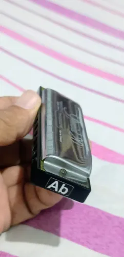 Gaita Diatônica Hohner Special 20 Custom afinação especia Abl 