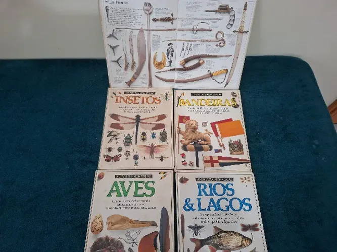 Coleção Aventura Visual Editora Globo 16 Volumes