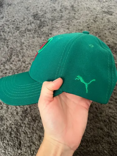 Boné palmeiras