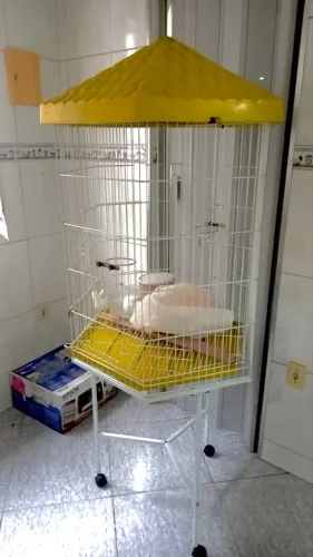 Vendo viveiro semi novo!