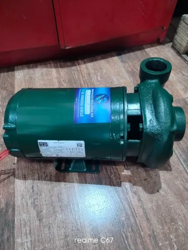 Bomba trifásica 1 CV Revisada