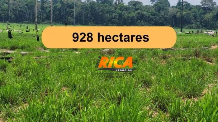 Vende-se uma Excelente Fazenda em Triunfo-RO