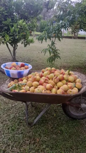 Chácara