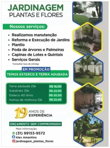 Jardinagem, jardineiro, manutenção de jardim, poda de árvores, poda de palmeiras, plantio