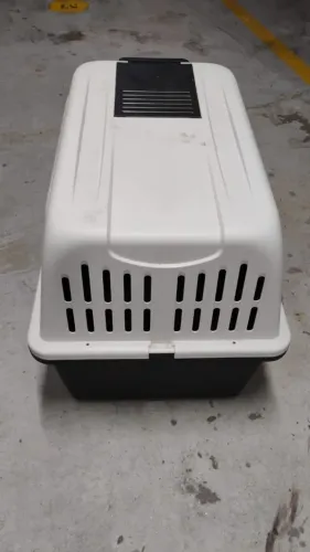 Casa ou transportador de cães  