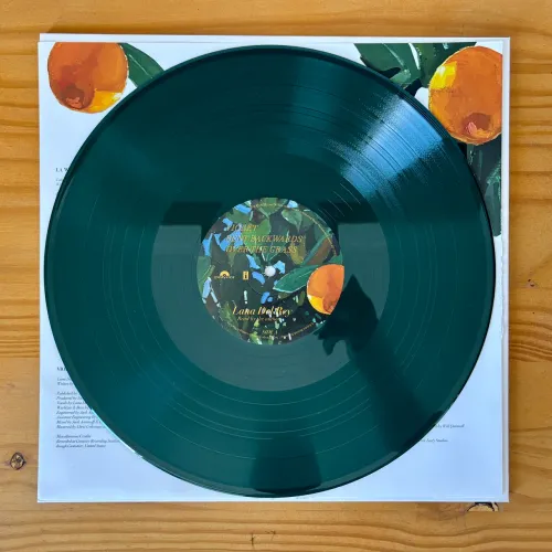 Disco de Vinil LP Lana Del Rey - Violet Bent Backwords Over The Grass