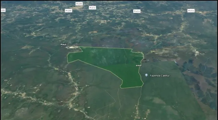 FAZENDA 7.000 HA PILAO ARCADO BA