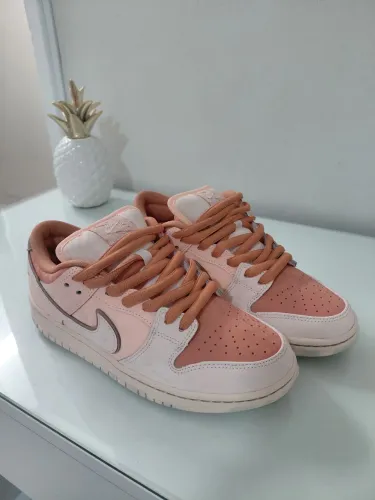 Nike dunk sb trocadero garden