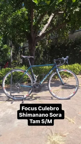 BICICLETA SPEED FOCUS CULEBRO