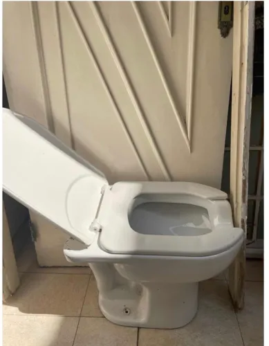 Mais de 79 telhas Novas e vaso sanitário DF por apenas $400