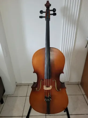 Violoncelo Hoyden 4/4