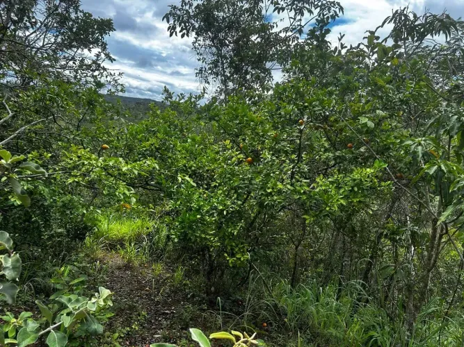 CHÁCARA À VENDA RUA 17 | ALTIPLANO LESTE