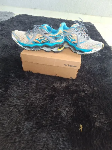 Mizuno prophecy 1