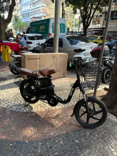 Lev E bike (Bateria 0km) 