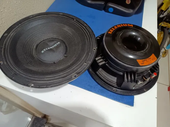 Falante WPU 1209 450rms original 8 Omhms