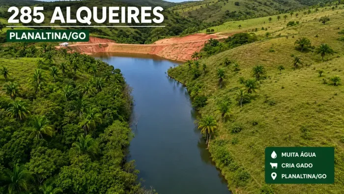 Fazenda Completa 285 Alqueires  Aceita Imóveis LEIA A DESCRIÇÃO