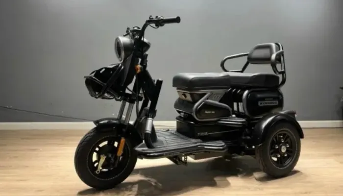 Triciclo U1 Wanshida 800w cinza