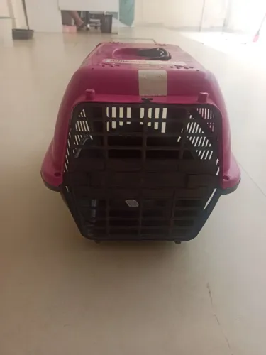 Caixa transporte de Pet N2