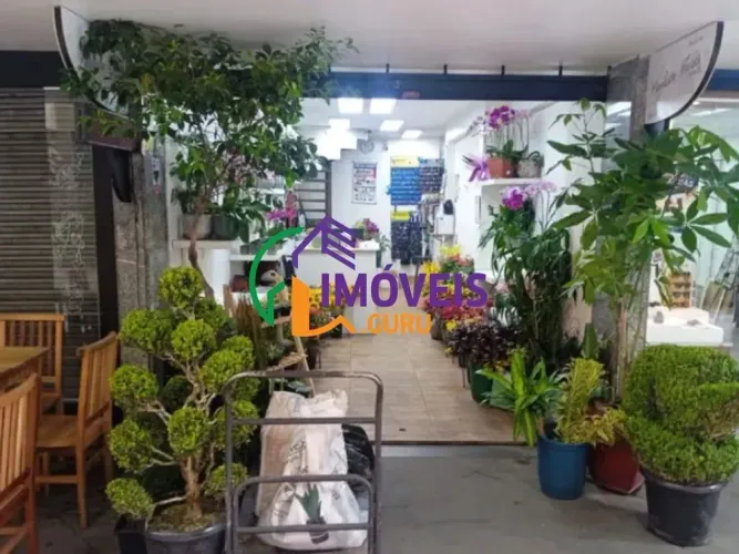 LOJA - BELA VISTA - SP