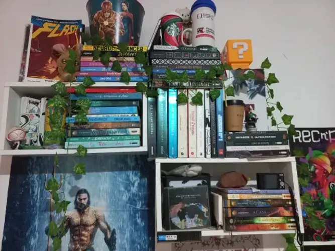 Lote de Livros HQs Mangas Terror Fantasia Romance Geek Nerd Barato